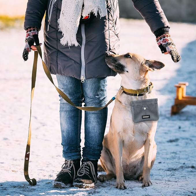 Dog Treat Pouch – Dog Training Pouch with Waterproof Oxford Fabric, Hands-Free Design, Carabiner Clip, Front Pocket, Self-Closing for Outdoor Walks & Puppy Training (Grey)