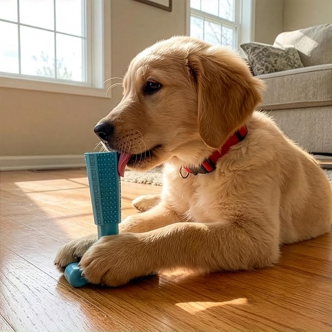 SPOT Bam-Bones Puppy T-Bone Dog Chew Toy, Chicken Flavor, 6 Inch, Bamboo Fiber & Flexible Rubber, Easy Grip Design for Gentle Chewers, Small Dogs & Puppies
