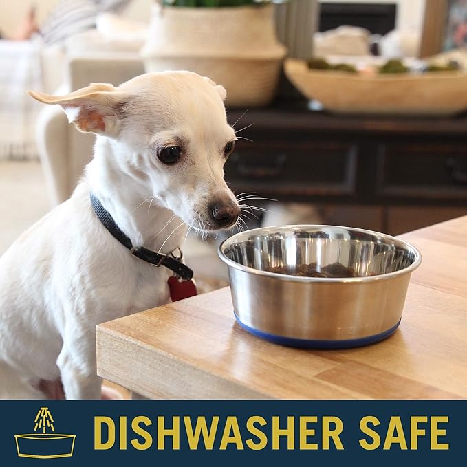 OurPet's DuraPet Premium Dishwasher Safe Stainless Steel Dog Bowl for Food or Water [Multiple Sizes for Small to Large Dogs] in Traditional or Wide Base Design - 2.25 Cup