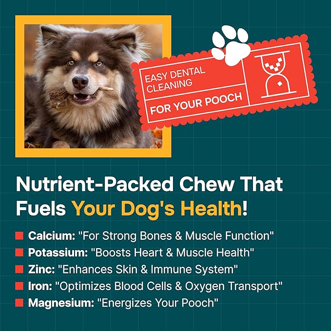 100% Natural - Antlers for Dogs ( Split ) - Naturally Shed in USA - Grade A Long Lasting Chew for Aggressive Chewers - Elk Antlers Dog Antler Chews - Real, Treats & Toys - No Odor & No Mess - Small