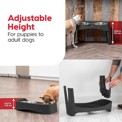 IRIS USA Adjustable Elevated Dog Bowls, Raised Feeder with 2 Stainless Steel 64 oz Bowls, Spill-Guard Rim, 12.25" or 4.63" Heights, Durable Plastic, Made in USA, Black