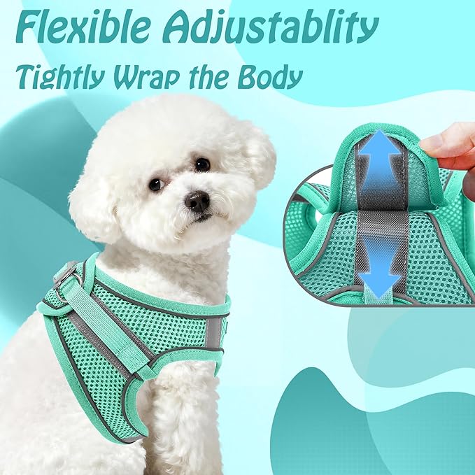 AIITLE Easy Walk Dog Harness and Leash Set - Pet Supply No Pull, Step in Adjustable Dog Harness with Padded Vest, No Choke Over, Easy to Put on Medium Dogs Pure Turquoise L