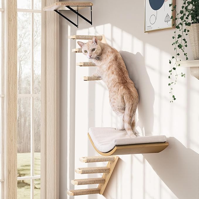 Cat Wall Shelves with Cats Window Perch – 4-Piece Wooden Cat Climbing Furniture Set with Soft Foam Curved Bed, Flat Shelf & 2 Wall 4-Steps Ladders