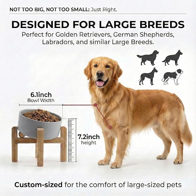 hjn Elevated Ceramic Dog Bowl 15°Slanted Raised Dog Bowl with Bamboo Stand for Small Medium Dogs and Cats, Pet Feeder-3.6-Cup (850ml)-Gray