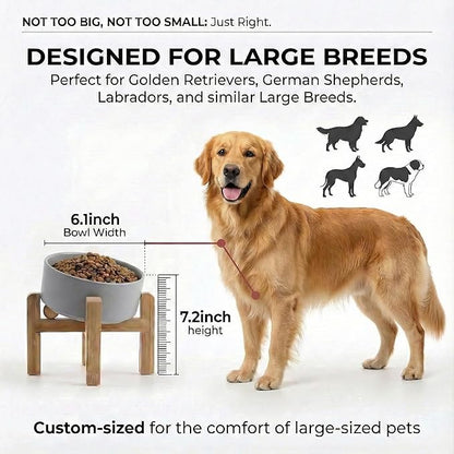 hjn Elevated Ceramic Dog Bowl 15°Slanted Raised Dog Bowl with Bamboo Stand for Small Medium Dogs and Cats, Pet Feeder-3.6-Cup (850ml)-Gray
