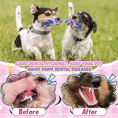 Syhood 48 Pcs Dog Toys Bulk Chew Ropes Dental Cotton Teething 2 Knot Tug of War Toy for Aggressive Chewers Small and Medium Dogs Puppies
