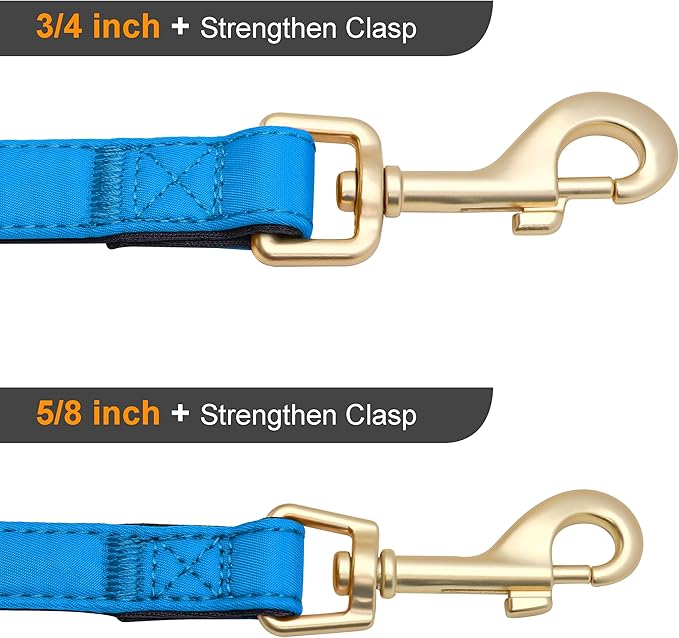 Didog 5FT Colorful Nylon Dog Leash with Soft Full-Length Padding, Lightweight and Durable Pet Leash for Medium and Large Dogs, Blue, M
