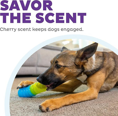 Outward Hound Gummiez Worm Dog Toy & Treat Stuffer, 6″ x 2″ Cherry-Scent Interactive Chew for Dogs, Helps Clean Teeth, Promote Healthy Gums & Mental Enrichment, Reduce Boredom & Support Dental Health