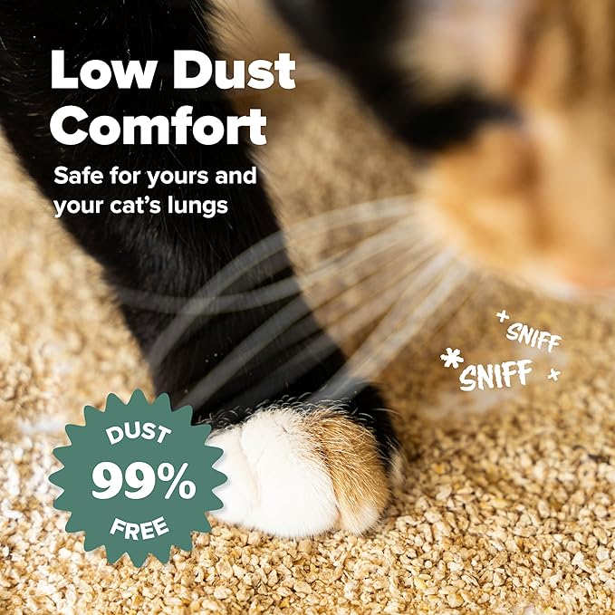 All Walks Plant Based Hemp Kitty Litter | 10 lb Bag | Super Clumping | Fragrance Free Kitty Litter | Odor Control for Cats