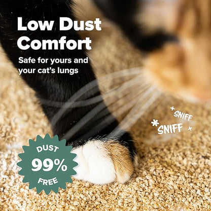 All Walks Plant Based Hemp Kitty Litter | 10 lb Bag | Super Clumping | Fragrance Free Kitty Litter | Odor Control for Cats