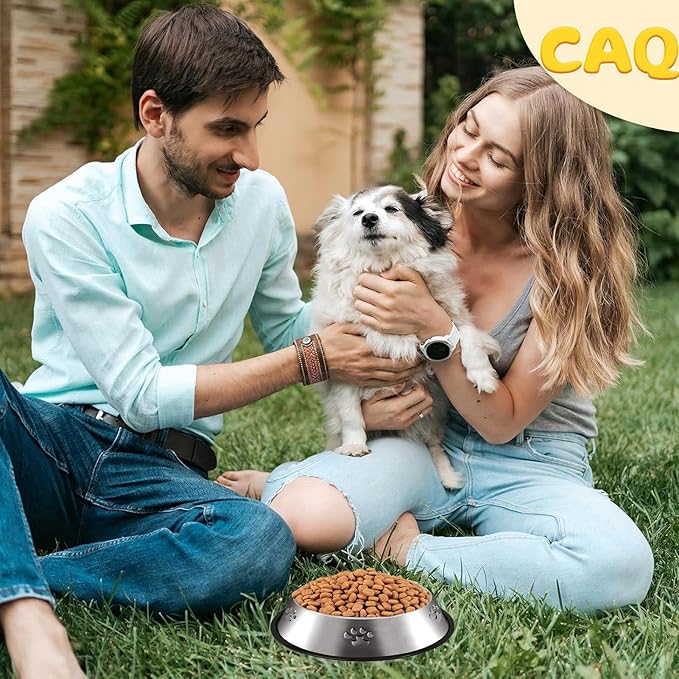 CAQ Dog Cat Bowls Stainless Steel Small Cat Dog Food Water Bowl for Indoor Stackable Pets Puppy Dish Non-Slip Removable Rubber Base Set of 4