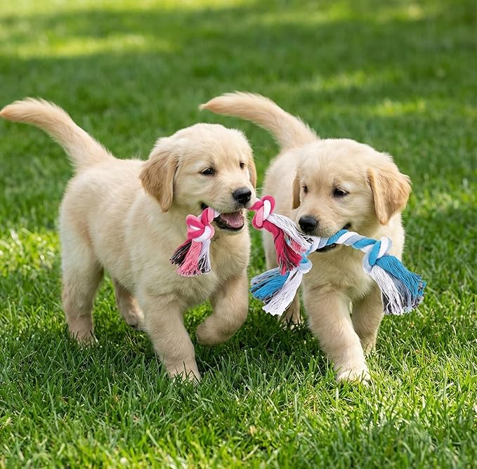 36-Pack Rope Dog Toys, Multi-Color Cotton Puppy Chew Teething Toys with Knots for Small and Medium Breed Pets, Interactive Tugging Fetch Play for Dental Health and Stress Relief