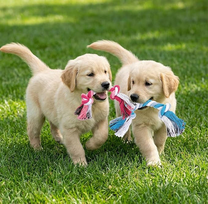36-Pack Rope Dog Toys, Multi-Color Cotton Puppy Chew Teething Toys with Knots for Small and Medium Breed Pets, Interactive Tugging Fetch Play for Dental Health and Stress Relief