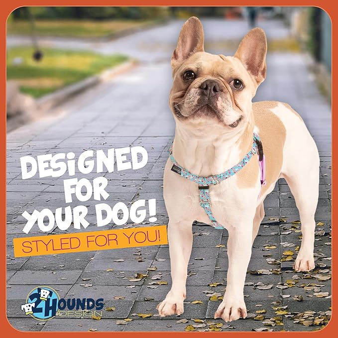2 Hounds Design - Freedom No-Pull Harness & Training Leash in Pink and Blue | Dual Leash Loops, No Pulling on Walks | Lined to Prevent Chaffing | for Small Sized Dogs (Size S, Chest 20”- 24”)