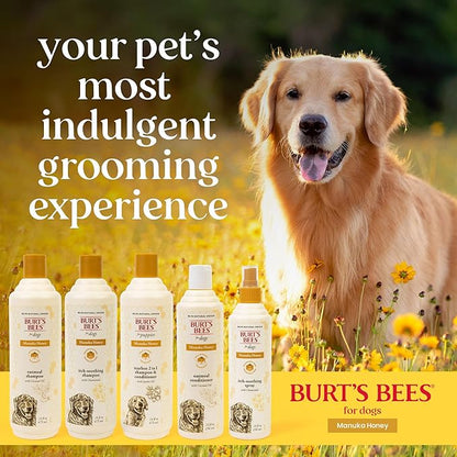 Burt’s Bees for Pets Manuka Honey Tearless 2 in 1 Shampoo and Conditioner for Puppies with Jojoba Oil, 16 Fl Oz
