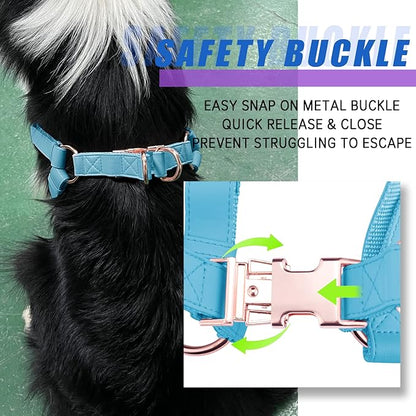 Soft Leather No Pull Dog Harness - Adjustable Step In Dog Harness with Rose Gold Heavy Duty Metal Buckle, Freedom Nylon Dog Halter Vests for Small Medium Large Dogs Easy Walking Training S, Light Blue
