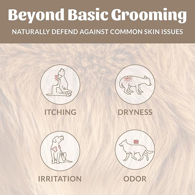 Skout’s Honor Probiotic Natural Dog Shampoo and Conditioner with Avocado Oil & Omega-3s, Gentle Puppy Shampoo, Hydrating Dog Conditioner, 97% Natural, Paraben & Sulfate-Free, Cruelty-Free, 16 oz DOTW
