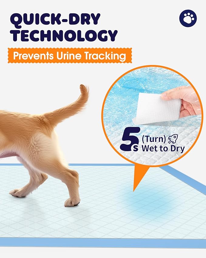 Puppy Pads - Super Absorbent & Spill-Proof Pee Pads for Dogs with 6-Layer Material, Quick-Dry & Hassle-Free Potty Pads for Floors, Furniture, Vehicle, 22" × 22", 100 Packs