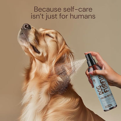 Sunny & Honey 4-in-1 Dog Shampoo & Conditioner - 16 fl oz, 8 fl oz Mist - Moisturizing Detangling Wash - Pet Shampoo - Long-Lasting Perfume Mist