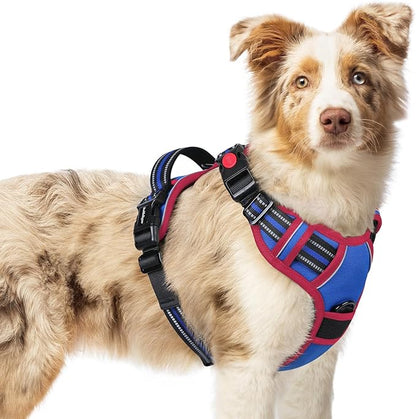 rabbitgoo Dog Harness Medium Sized, No Pull Pet Harness with 3 Buckles, Adjustable Soft Padded Vest with Control Handle, Walking Reflective Pet Vest for Medium Dogs, Royal Blue & Red, M