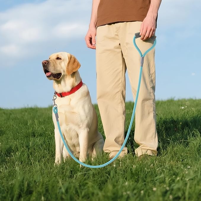 Mile High Life Dog Leash, with Comfortable Padded Handle, Turquoise Nylon Rope Leash with Steel Tips, Heavy Duty 6 Feet Pet Leashes (Turquoise,72 Inches)