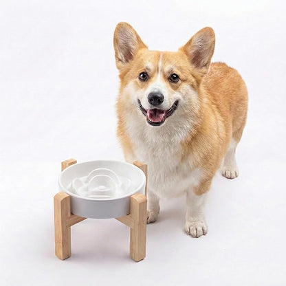 Petygooing Elevated Slow Feeder Ceramic Dog Bowls 8.26in, Slow Feeder Elevated Bowl for Small&Medium, Ceramic Slow Feeder Heavy Weighted Non-Toxic Non-Slip Puzzle Maze (White, 8.26in)