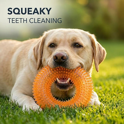ADUCK Dog Squeaky Chew Toys for Aggressive Chewers, Small Medium Large Dogs Teeth Cleaning Soft Natural Rubber Float Toy for Indoor Outdoor Water Pool, Donut Ring Design 4.92 inch, Crystal Orange