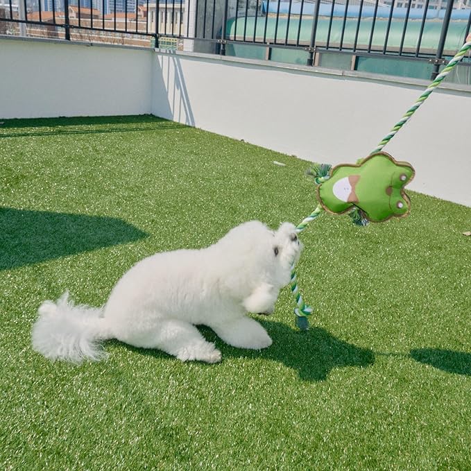 Durable Dog Toy – Interactive Chew Toy – Multiple Styles & Sizes Frog S