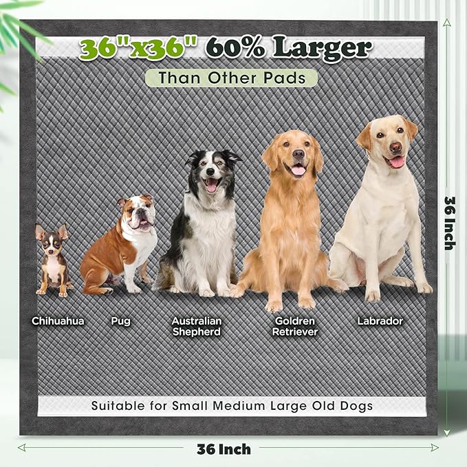Gimars Upgrade Odor Control 4XL 36x36 Extra Large Thicken 9 Layers Extra Absorbent Charcoal Pee Pads for Dogs - Leak Proof Dog Training Pads Quick Dry - 30 Counts