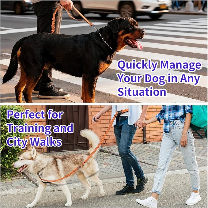 Kazazoo Hands-Free Dog Leash with 5.5-8.5FT Adjustable Length - Heavy Duty No Pull Bungee Design, Reflective Safety for Walking, Jogging & Training | Suitable for Medium to Large Dogs,M Size-Orange