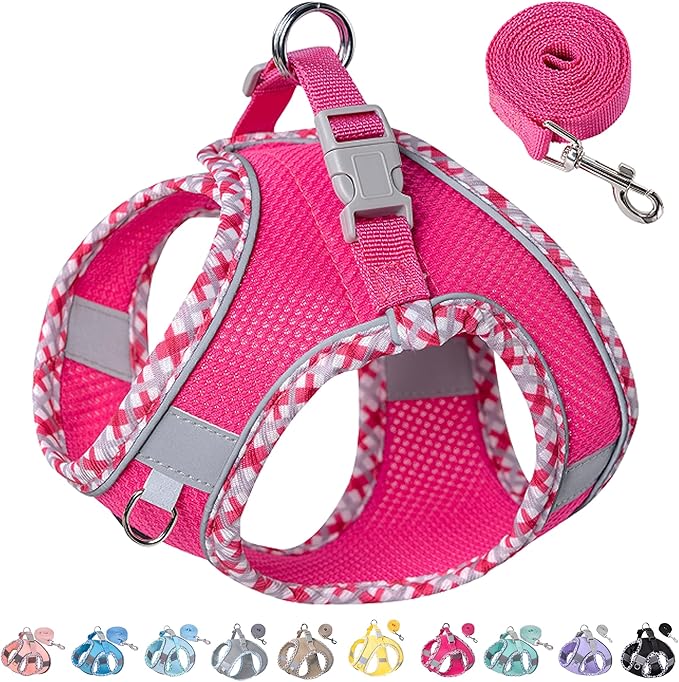 Petank Dog Harness for Small Medium Dogs No Pull, Puppy Harness and Leash Set for Walking, Running, Training, Small Dog Harness, Medium Dog Harness (Rose Red, XS)