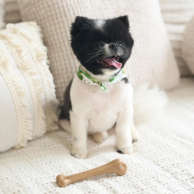 SPOT Bam-Bones Bone - Made with Strong Bamboo Fiber, Durable Long Lasting Dog Chew for Light to Moderate Chewers, Great Toy for Adult Dogs & Teething Puppies under 25lbs, 5.75in, Chicken Flavor