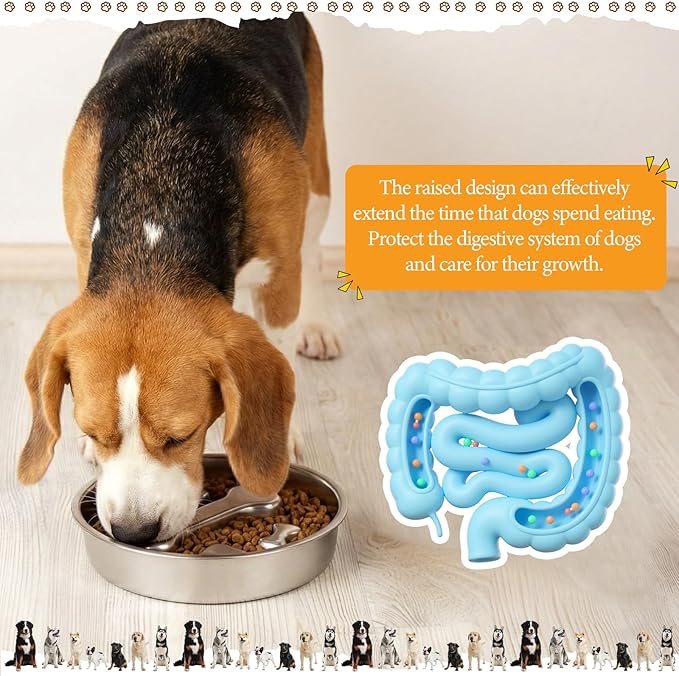 Vesici Slow Feeder Dog Bowls Set 3.2l No Spill Water Bowl and 2 Cups Stainless Steel Dog Slow Feeder Food Bowl Puppy or Cat Food Holder Dishwasher Pet Supplies