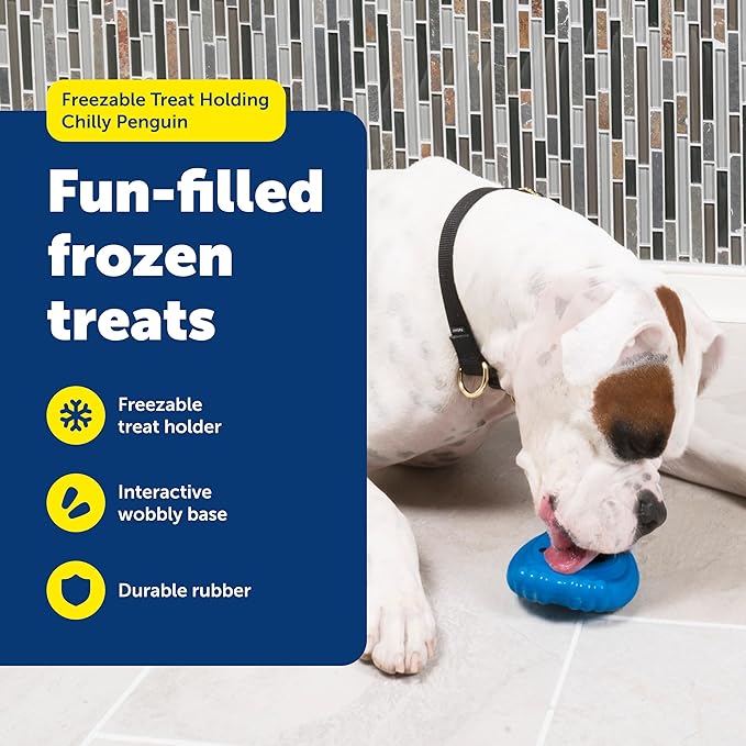 PetSafe Freezable Treat Holding Chilly Penguin - Durable, Vanilla-Scented, Rubber, Freezable Interactive Pet Puzzle for Boredom or Separation Anxiety - for Medium & Large Dogs