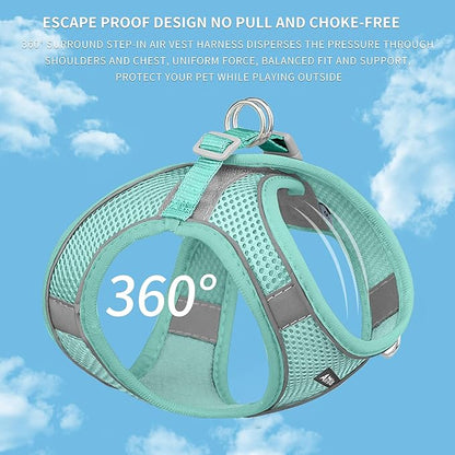 AIITLE Dog Harness, No-Pull Cat Harness with a Leash, Adjustable Reflective Dog Vest, Cat Harness Escape Proof, Outdoor Walking, Running for Extra Small Dogs and House Cats Pure Turquoise XXXS