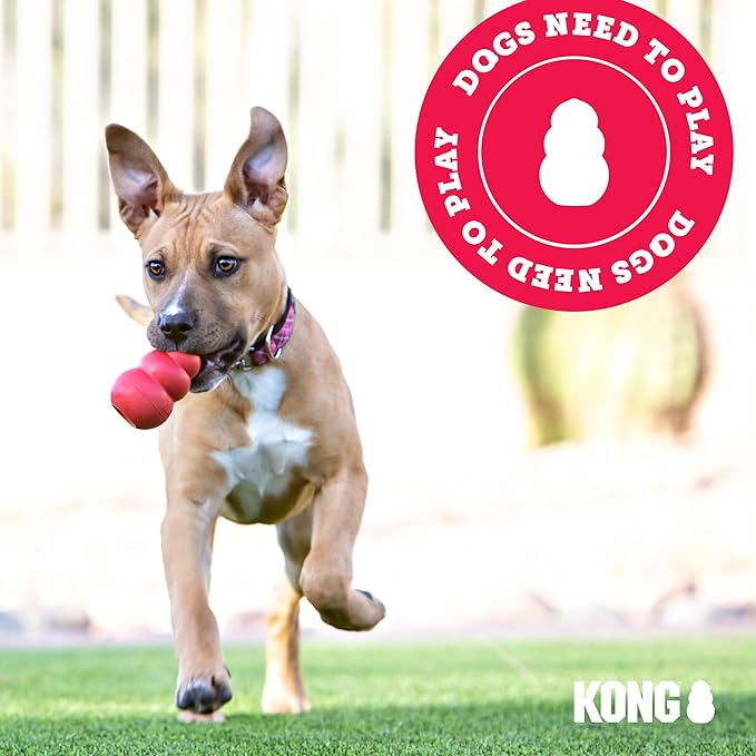 KONG Stuff-A-Ball - Durable Chew Toy for Dogs - Natural Rubber Dog Toy for Dental Health - Pet Toy for Chewing & Teeth Cleaning - Stuffable Toy for Dog Treats & Snacks - for Large Dogs