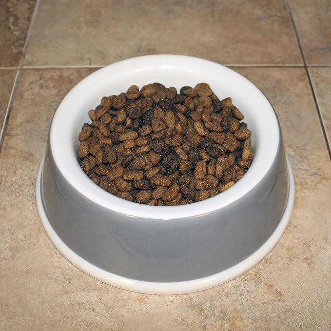 Van Ness Pets EcoWare Medium Dog Bowl, Non-Tip/Non-Skid Dish, 25 OZ Capacity