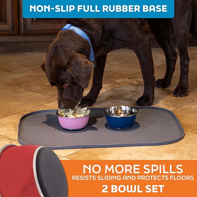 Master Pet Supply Stainless Steel Dog Bowls Set of 2 (16 Oz Each) with Non-Slip Rubber Base - Crimson Flame - Basic Dog Food Bowl Water & Food Bowls for Small Medium Large Dogs & Cats, Metal Dish