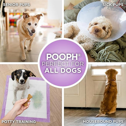 POOPH® Potty Pads™ – 50 Count – Superior Absorbency & Odor Control – Absorbs 59oz, Leak-Proof, Track-Proof, Spill-Proof – Quick-Dry, Disposable, 24x24 Inch – for Puppies, Seniors, Housebound Pets