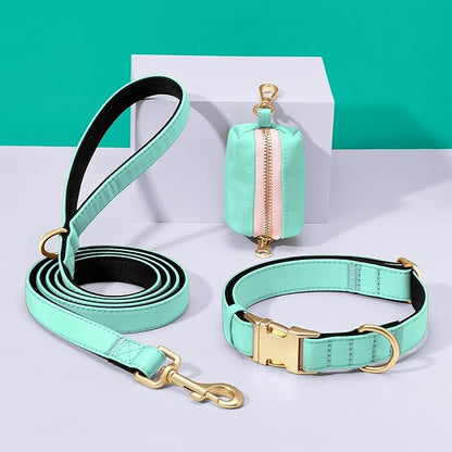 Didog 5FT Colorful Nylon Dog Leash with Soft Full-Length Padding, Lightweight and Durable Pet Leash for Medium and Large Dogs, Green, M