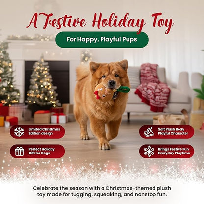 Bow Wow Pet Gingerbread Ornament Rope Plush Dog Toy