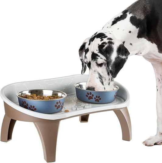 Elevated Pet Feeding Tray with Splash Guard & Non-Skid Feet, Raised Dog Bowl Stand 21″ x 11″ x 8.5″ with Two Stainless Steel Bowls for Food & Water, Comfortable Mealtime for Dogs & Cats by PETMAKER