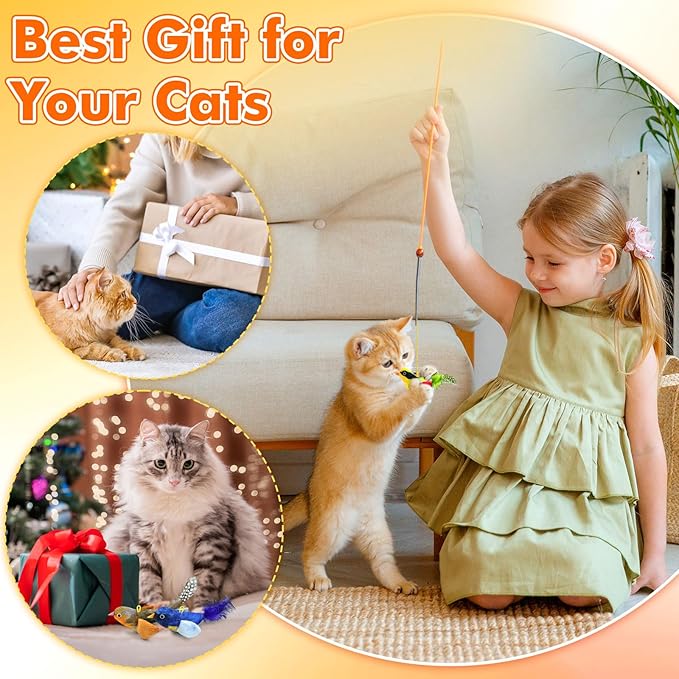 Interactive Cat Toys for Indoor Cats, Retractable Door Hanging Cat Toys with Catnip and Feathers, 3 Pack Chirping Bird Cat Toy for Chase Exercise Boredom Buster for Kittens & Adult Cats