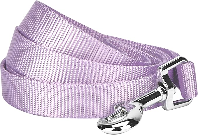 Blueberry Pet Essentials Lavender Dog Leash for Large - 4' * 1" Dogs | Heavy Duty Nylon Lead | Lightweight Puppy & Cat Leash for Walking & Training