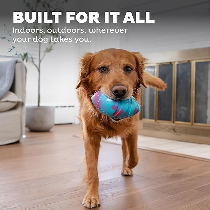 Outward Hound Grunt N' Punt Football Dog Toy - Throwing, Fetching Fun