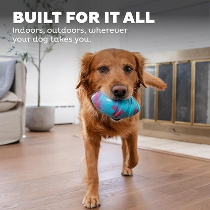 Outward Hound Grunt N' Punt Football Dog Toy - Throwing, Fetching Fun