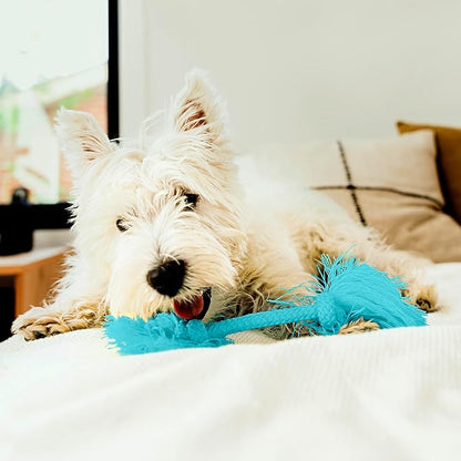 Playology Dog Toys | Dri-Tech Rope Toy Tug of War Rope for Aggressive Chewers | Small Peanut Butter Scented Toy - Easy to Clean and Made from Non Toxic Materials