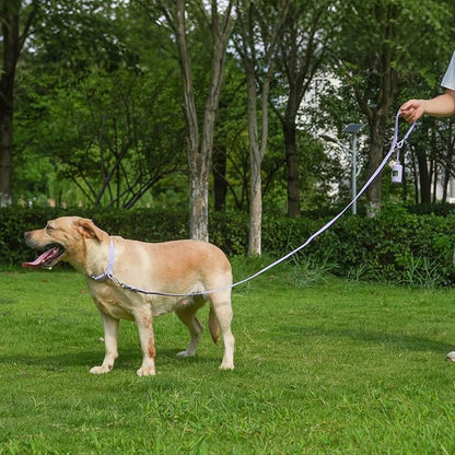 Waterproof Dog Leash with Poop Bag Holder, 5FT/6FT Adjustable Length with 2 Swivel Hooks, Odor-Free & Easy-Clean Dog Lead for Large Medium Small Dogs