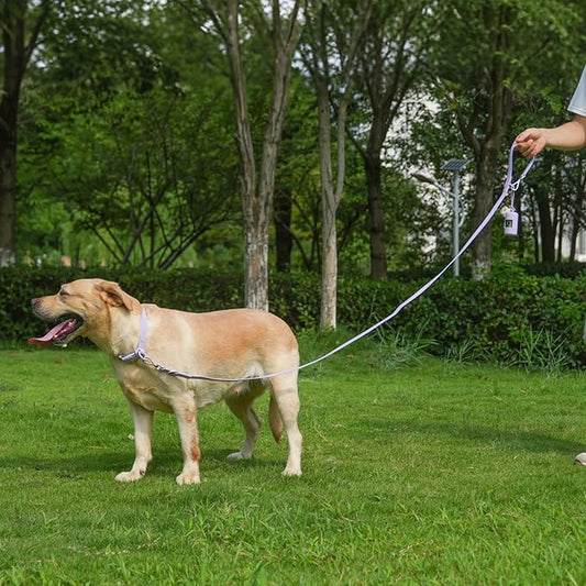 Waterproof Dog Leash with Poop Bag Holder, 5FT/6FT Adjustable Length with 2 Swivel Hooks, Odor-Free & Easy-Clean Dog Lead for Large Medium Small Dogs