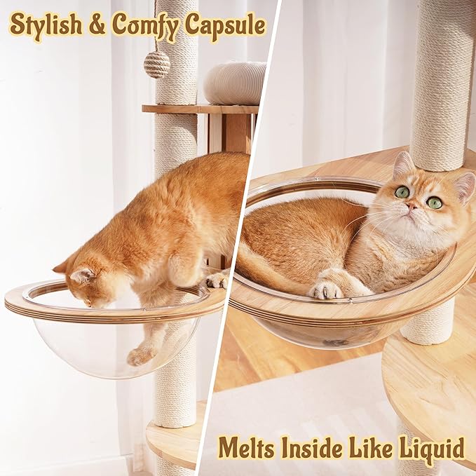Modern Cat Tree Tower with Scratching Post, 61.5in Tall Cat Tree for Indoor Cats, Multi-Level Solid Wood Cat Furniture with Ladder, Cozy Cat Beds, Cat Condo, Capsule Nest, Dangling Toy, Natural